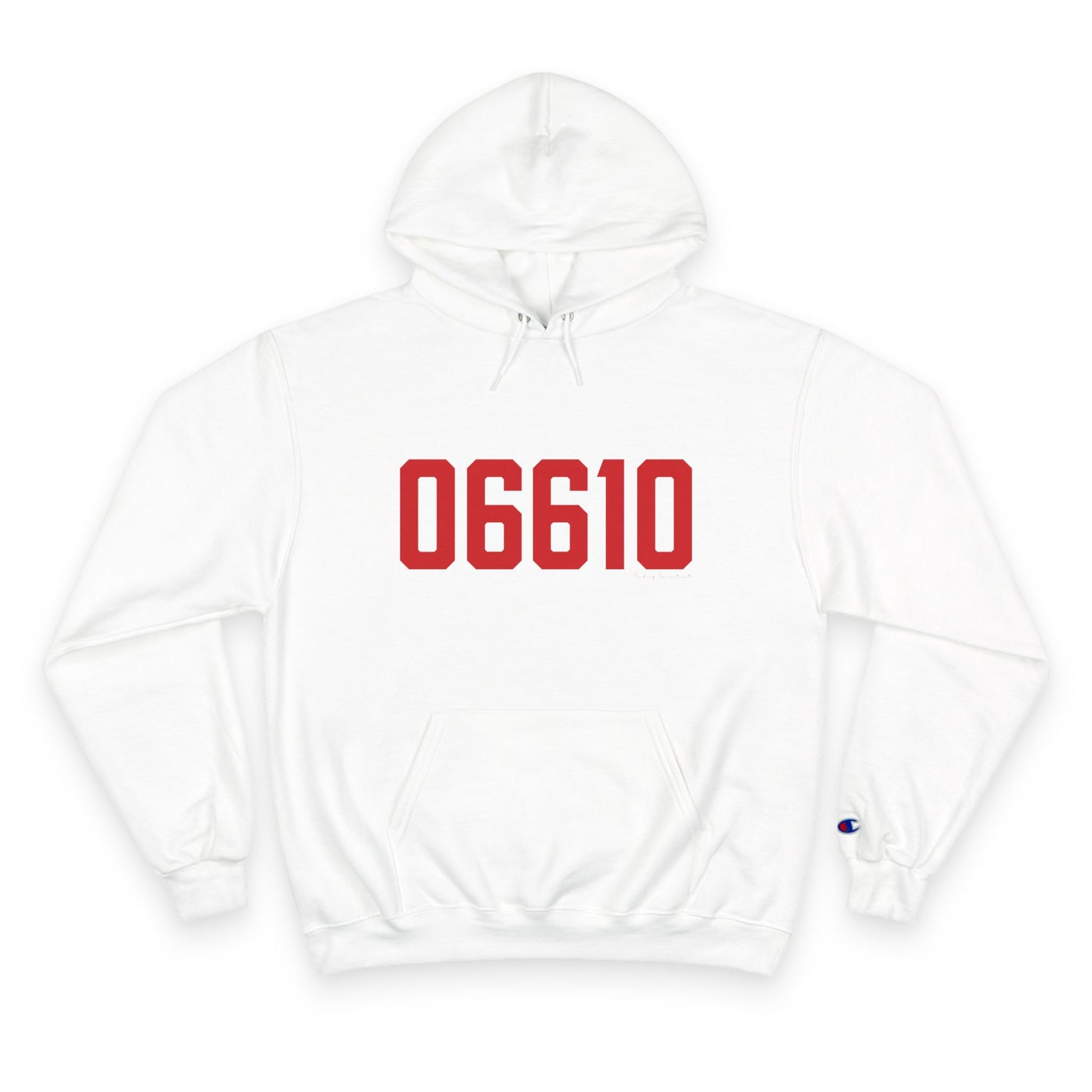 06610  Bridgeport Connecticut Zip Code Champion Hoodie Sweatshirt