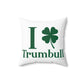 I Clover Trumbull Spun Polyester Square Pillow