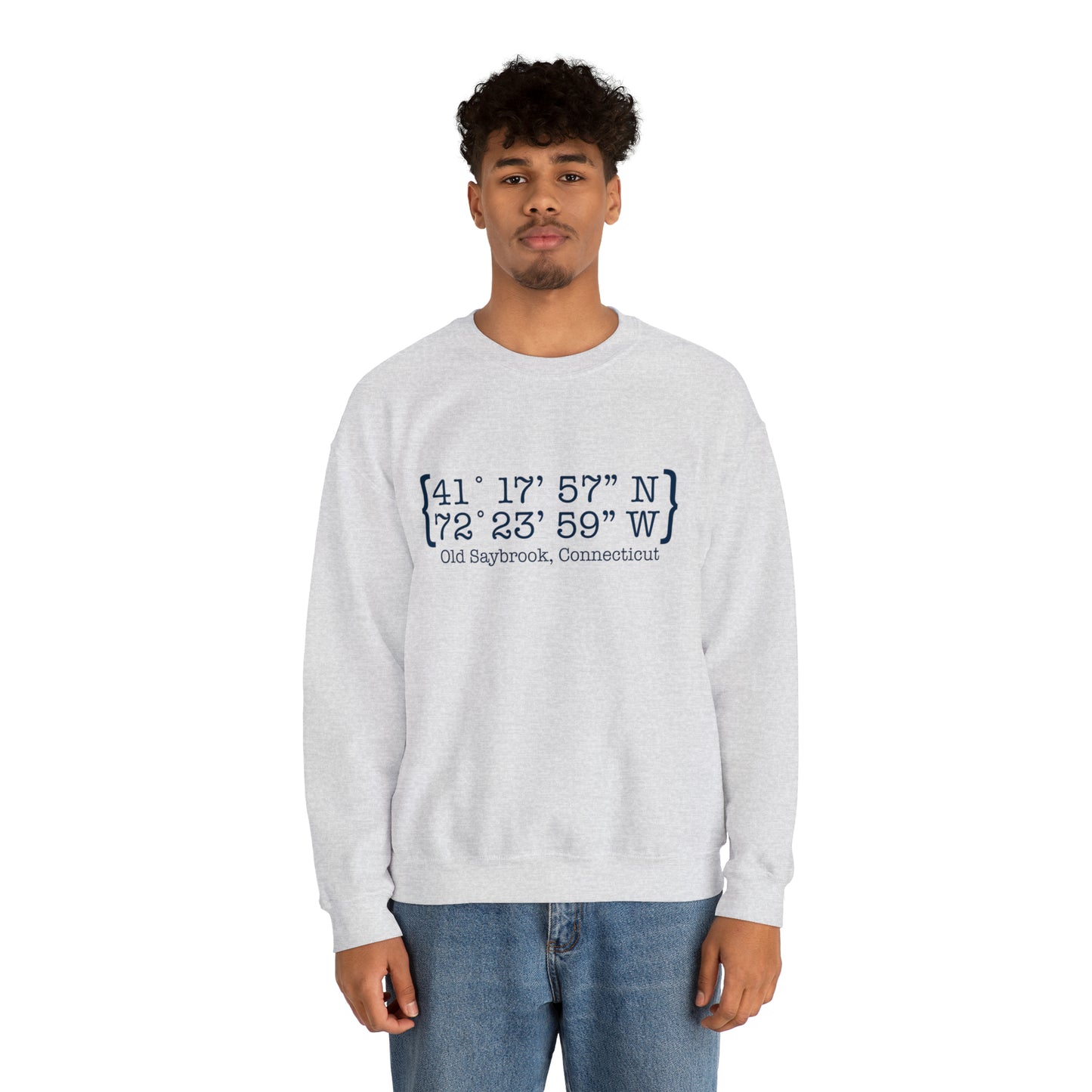 Old Saybrook Coordinates Unisex Heavy Blend™ Crewneck Sweatshirt (blue)