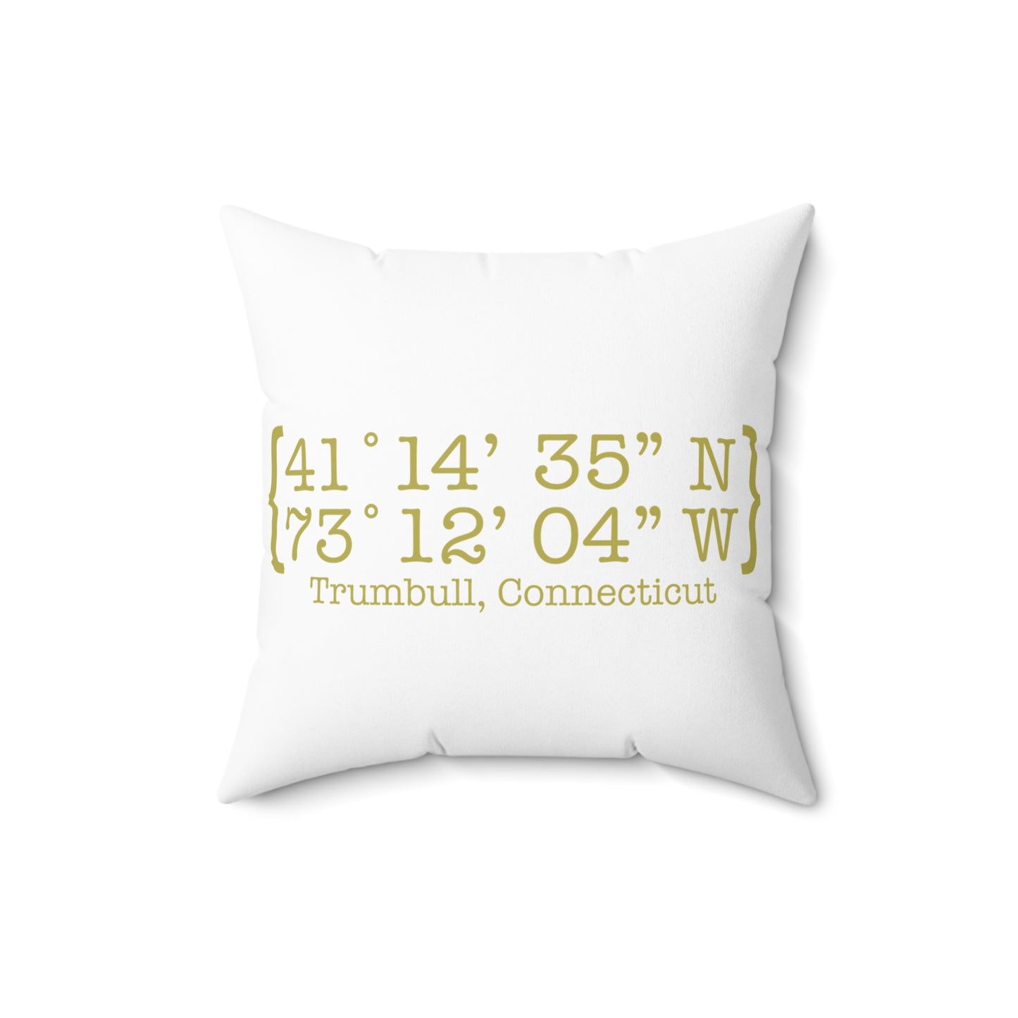 Trumbull Coordinates Spun Polyester Square Pillow