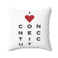 Connecticut Vision Spun Polyester Square Pillow