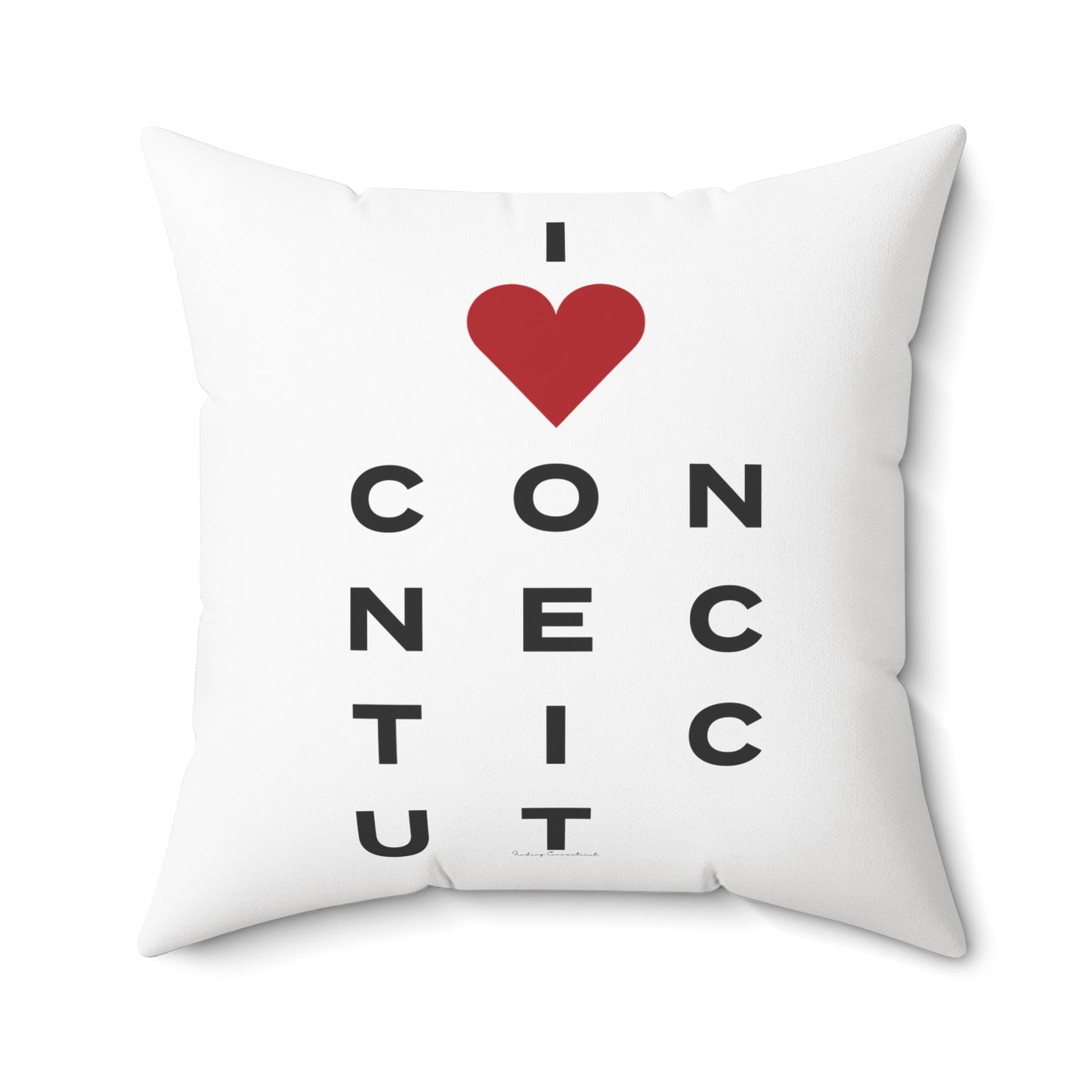 Connecticut Vision Spun Polyester Square Pillow