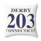 Derby 203 Connecticut Polyester Square Pillow