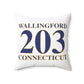 203 Wallingford Polyester Square Pillow