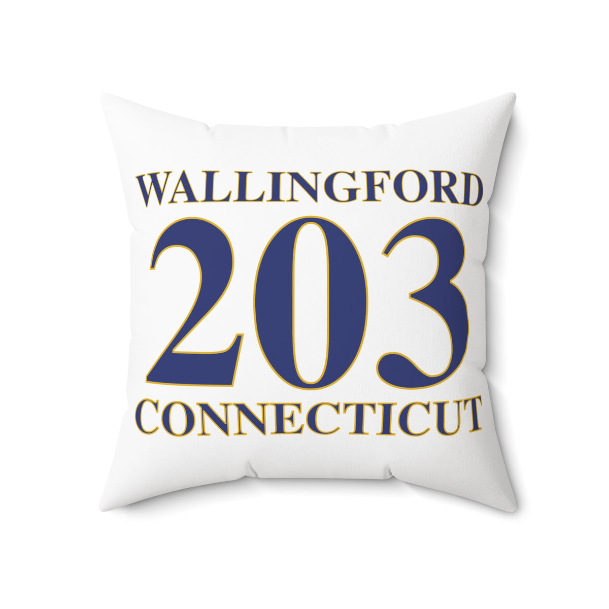 203 Wallingford Polyester Square Pillow