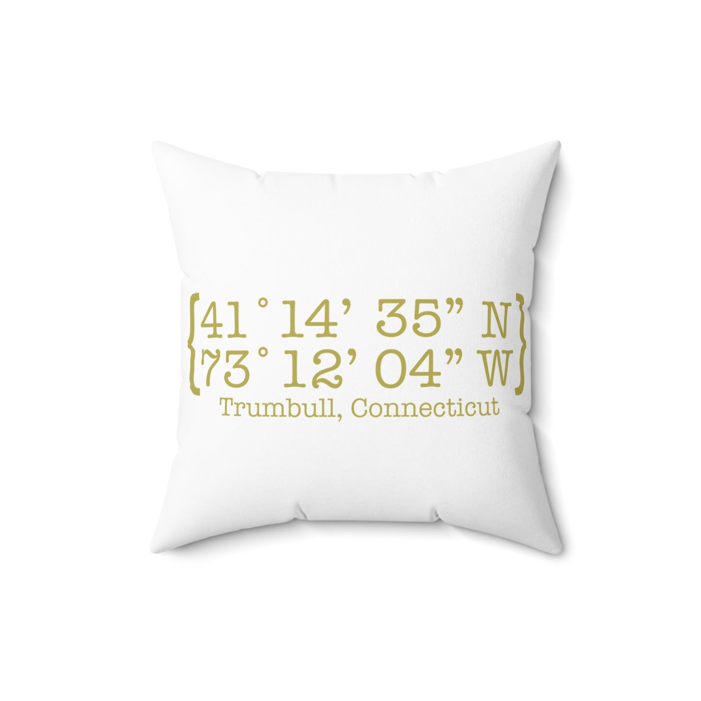 Trumbull Coordinates Spun Polyester Square Pillow
