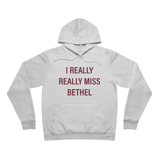 I Really Really Miss Bethel Unisex Sponge Fleece Pullover Hoodie