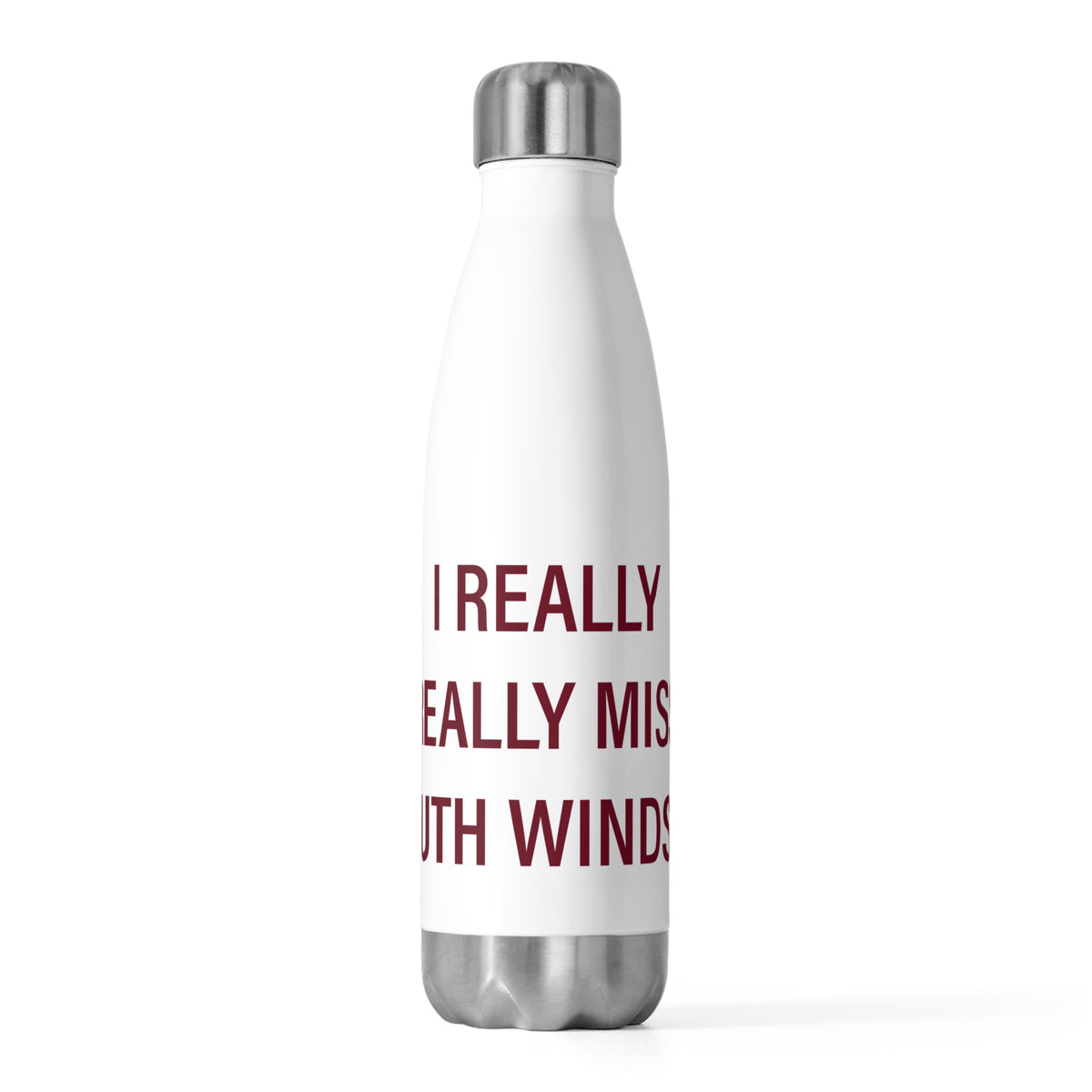 I Really Really Miss South Windsor 20 oz Insulated Bottle