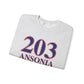 203 Ansonia Red White & Blue Unisex Heavy Blend™ Crewneck Sweatshirt