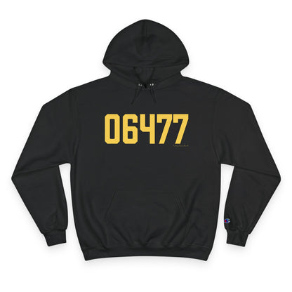 06477 Orange Connecticut  Zip Code Champion Hoodie