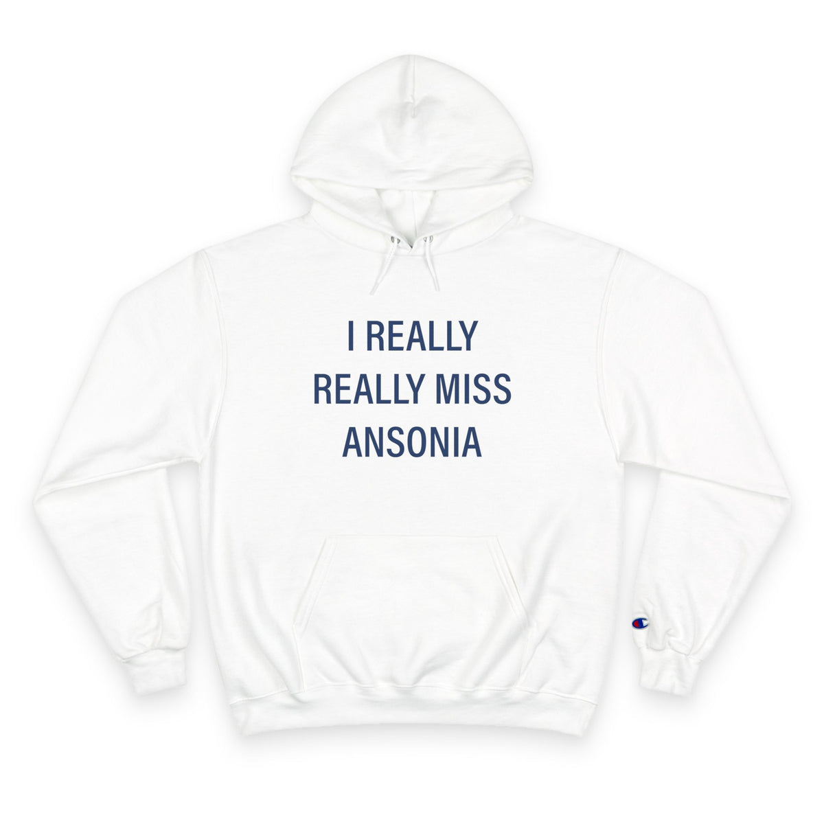 I Really Really Miss Ansonia  Champion Hoodie