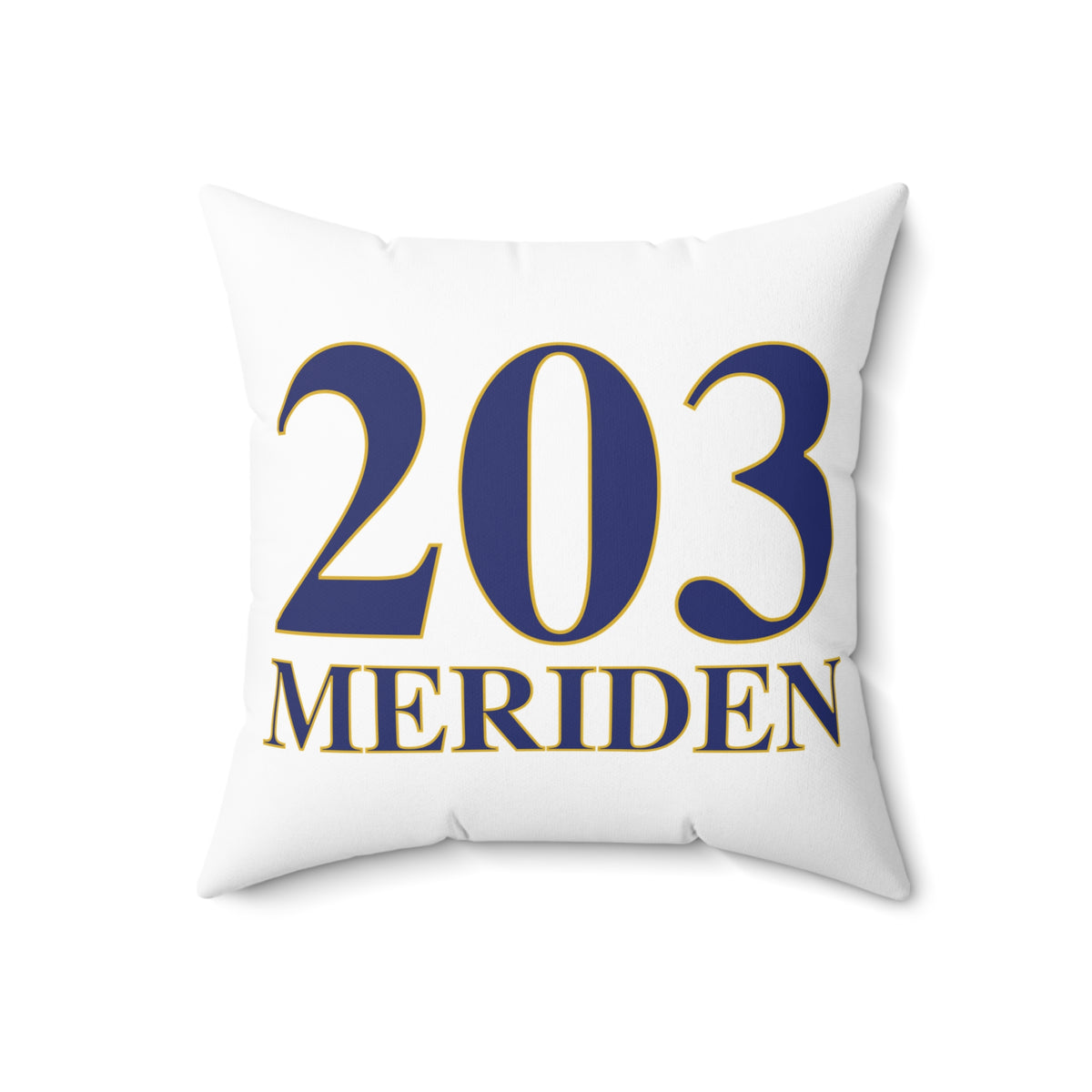 203 Meriden Polyester Square Pillow