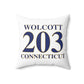 Wolcott 203 Connecticut Polyester Square Pillow
