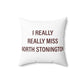 I Really Really Miss North Stonington Polyester Square Pillow