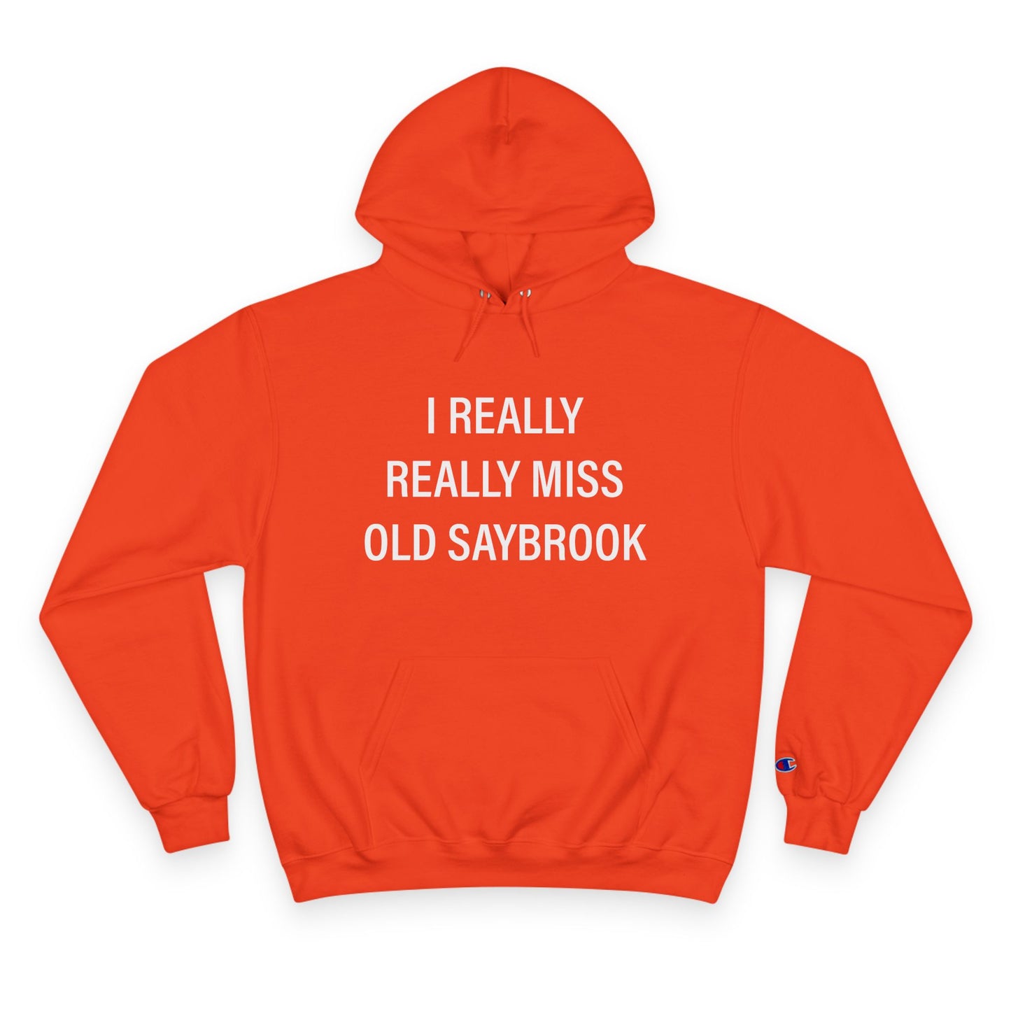 I Really Really Miss Old Saybrook Champion Hoodie