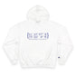 New Fairfield Coordinates Champion Hoodie Sweatshirt