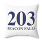 203 Beacon Falls Polyester Square Pillow
