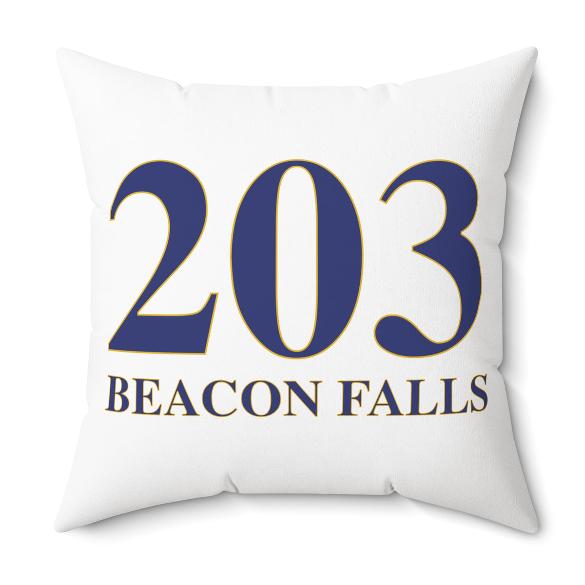203 Beacon Falls Polyester Square Pillow
