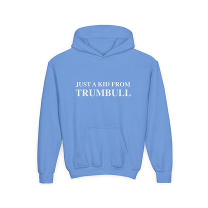 Just a kid from Trumbull  Youth Heavy Blend Hooded Sweatshirt