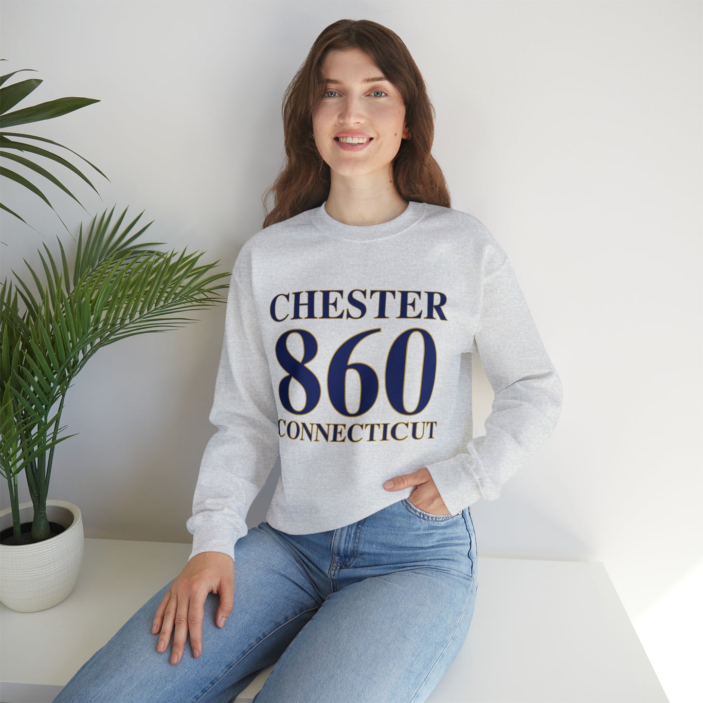 Chester 860 Connecticut Unisex Heavy Blend™ Crewneck Sweatshirt