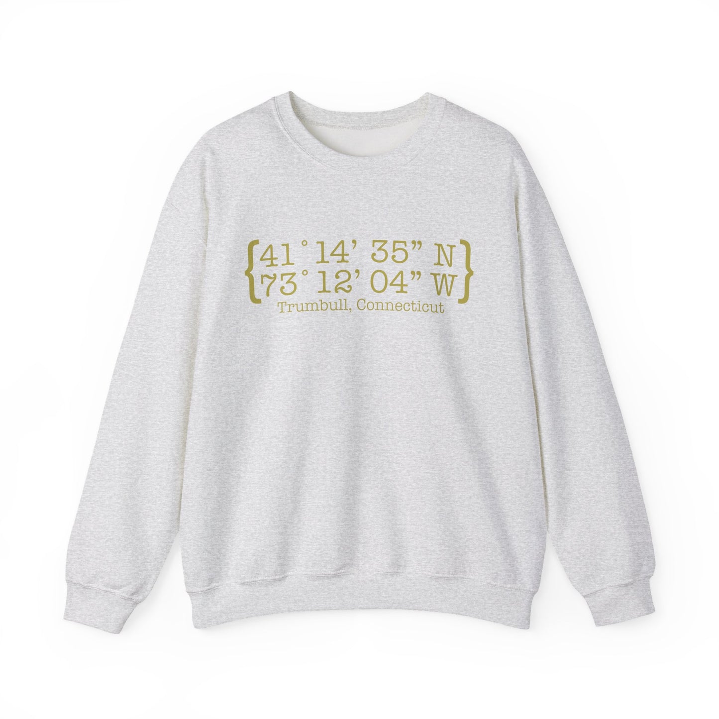 Trumbull Coordinates Unisex Heavy Blend™ Crewneck Sweatshirt