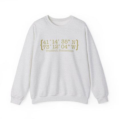Trumbull Coordinates Unisex Heavy Blend™ Crewneck Sweatshirt