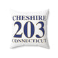 Cheshire 203 Connecticut Polyester Square Pillow