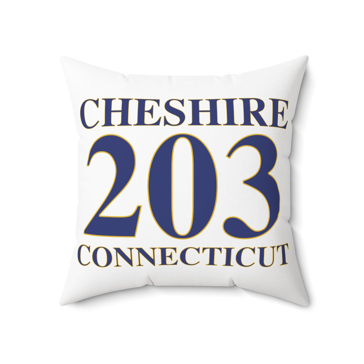 Cheshire 203 Connecticut Polyester Square Pillow