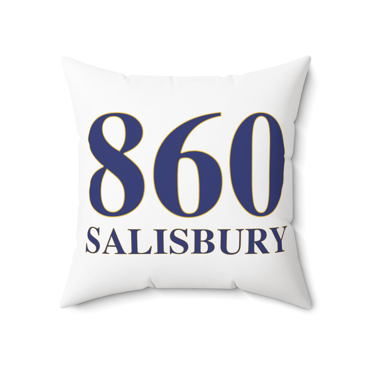 860 Salisbury Polyester Square Pillow