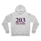 203 Milford Red White & Blue Unisex Sponge Fleece Pullover Hoodie