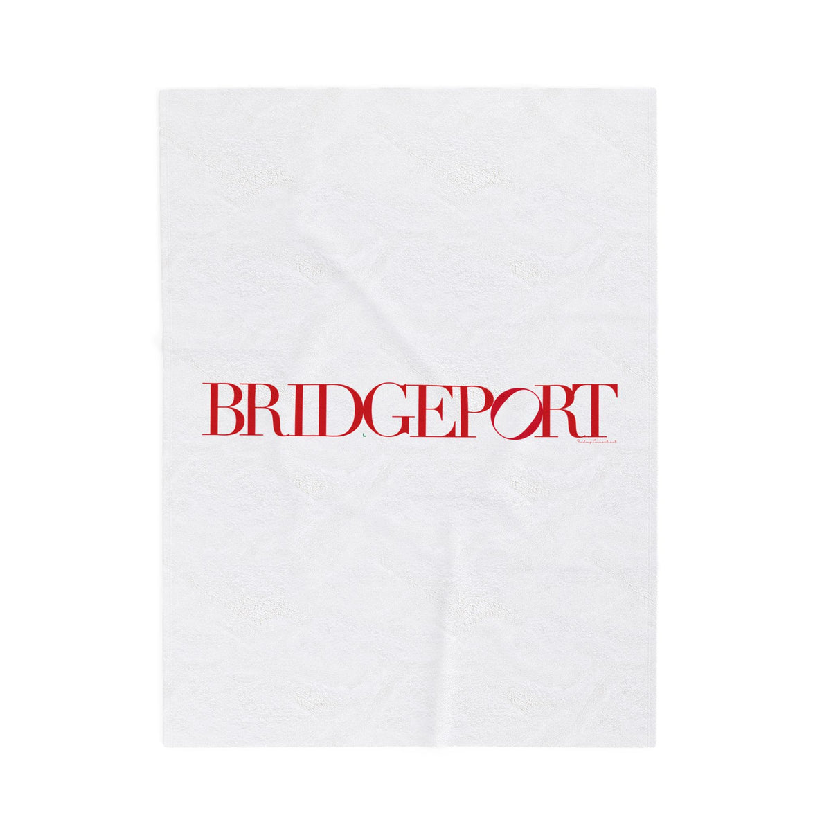 41 Tilt Bridgeport Velveteen Plush Blanket