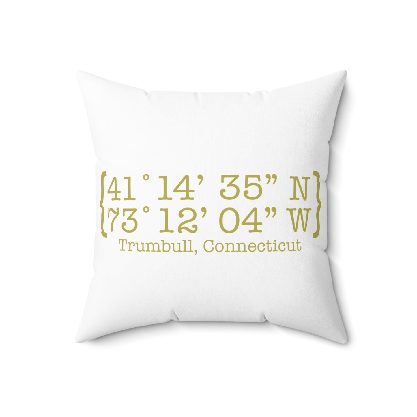 Trumbull Coordinates Spun Polyester Square Pillow