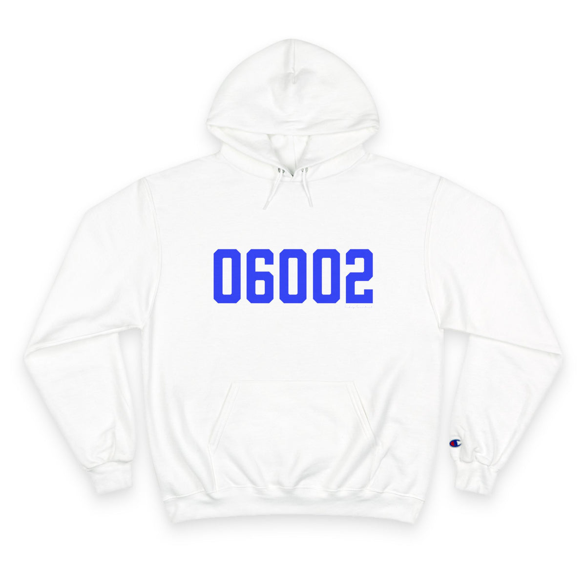 06002 Bloomfield Connecticut Zip Code Champion Hoodie