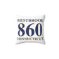 Westbrook 860 Connecticut Spun Polyester Square Pillow