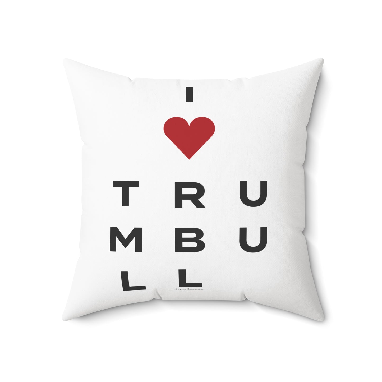Trumbull Vision Spun Polyester Square Pillow