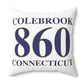 Colebrook 860 Connecticut Polyester Square Pillow