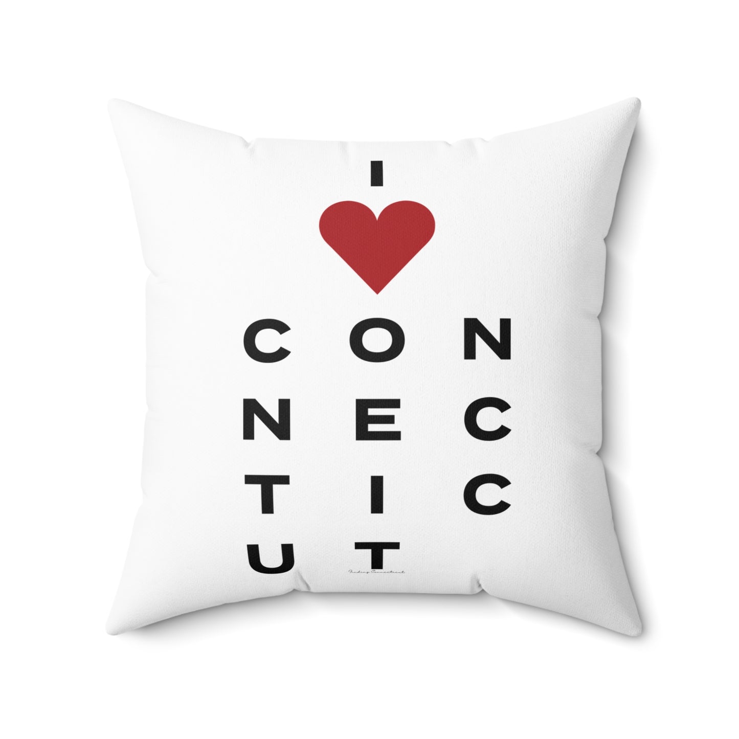 Connecticut Vision Spun Polyester Square Pillow