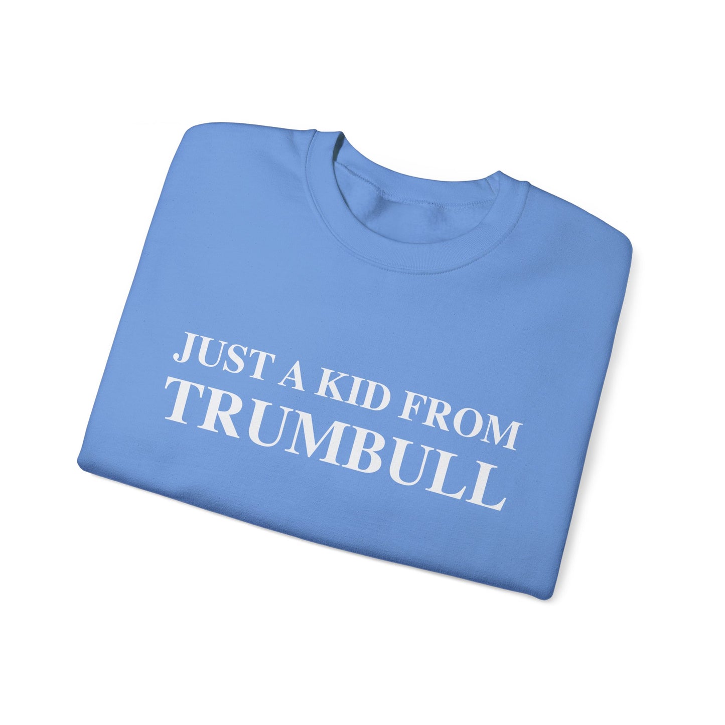 Just a kid from Trumbull Unisex Heavy Blend™ Crewneck Sweatshirt