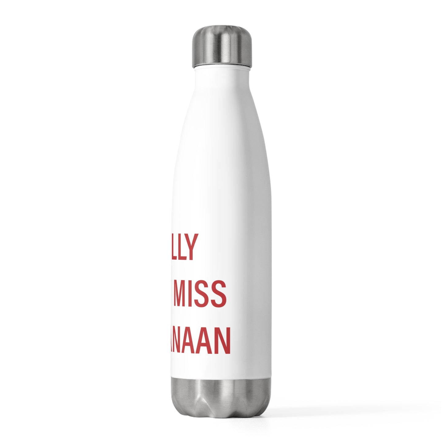 I Really Really Miss New Canaan 20oz Insulated Bottle