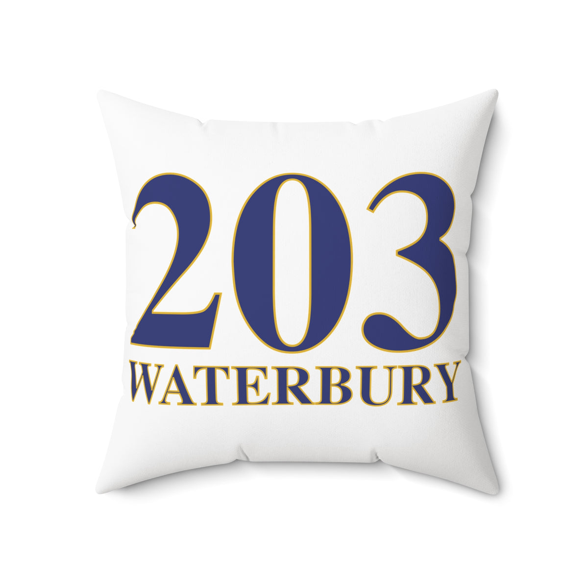 203 Waterbury Polyester Square Pillow