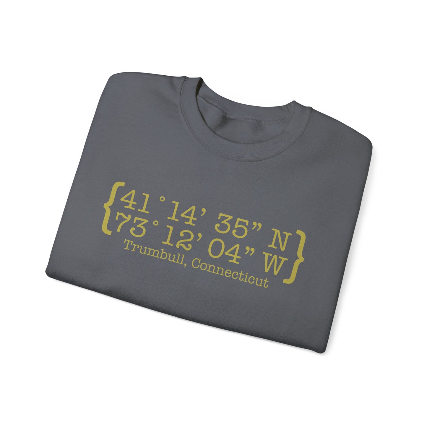 Trumbull Coordinates Unisex Heavy Blend™ Crewneck Sweatshirt