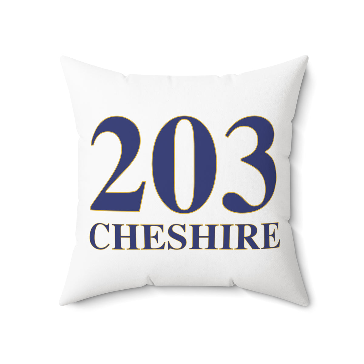 203 Cheshire Polyester Square Pillow