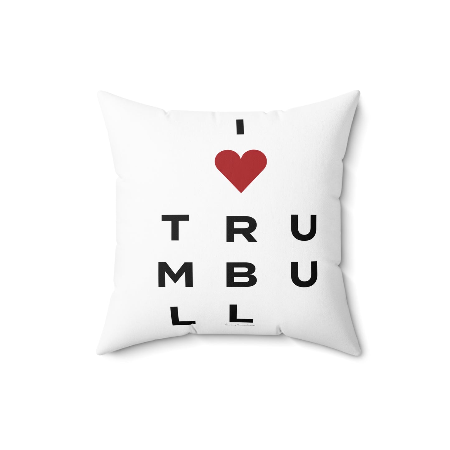 Trumbull Vision Spun Polyester Square Pillow