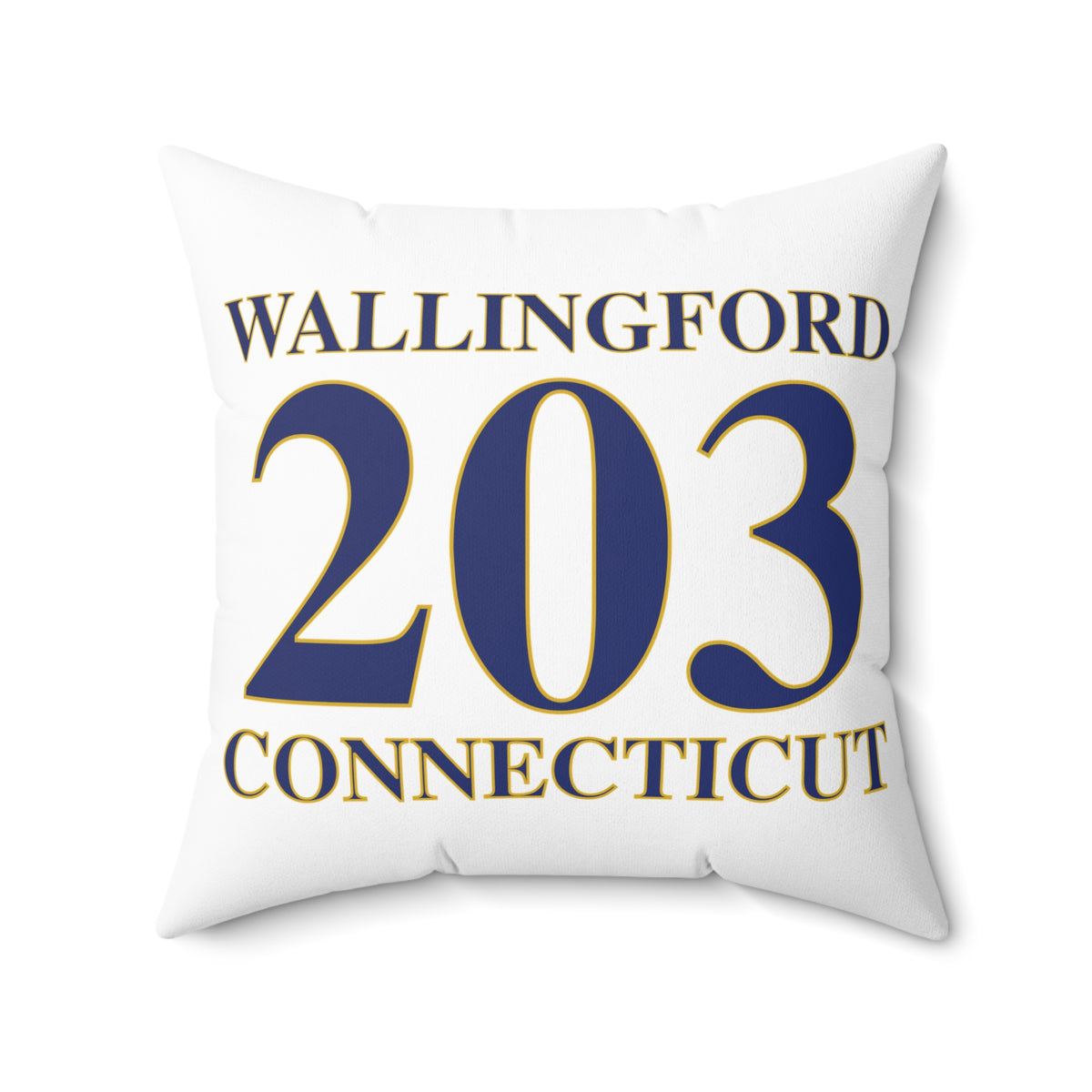 203 Wallingford Polyester Square Pillow