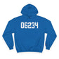 06234 Brooklyn CT Zip Code Champion Hoodie