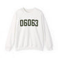 06063 Barkhamsted Connecticut Zip Code Unisex Heavy Blend™ Crewneck Sweatshirt