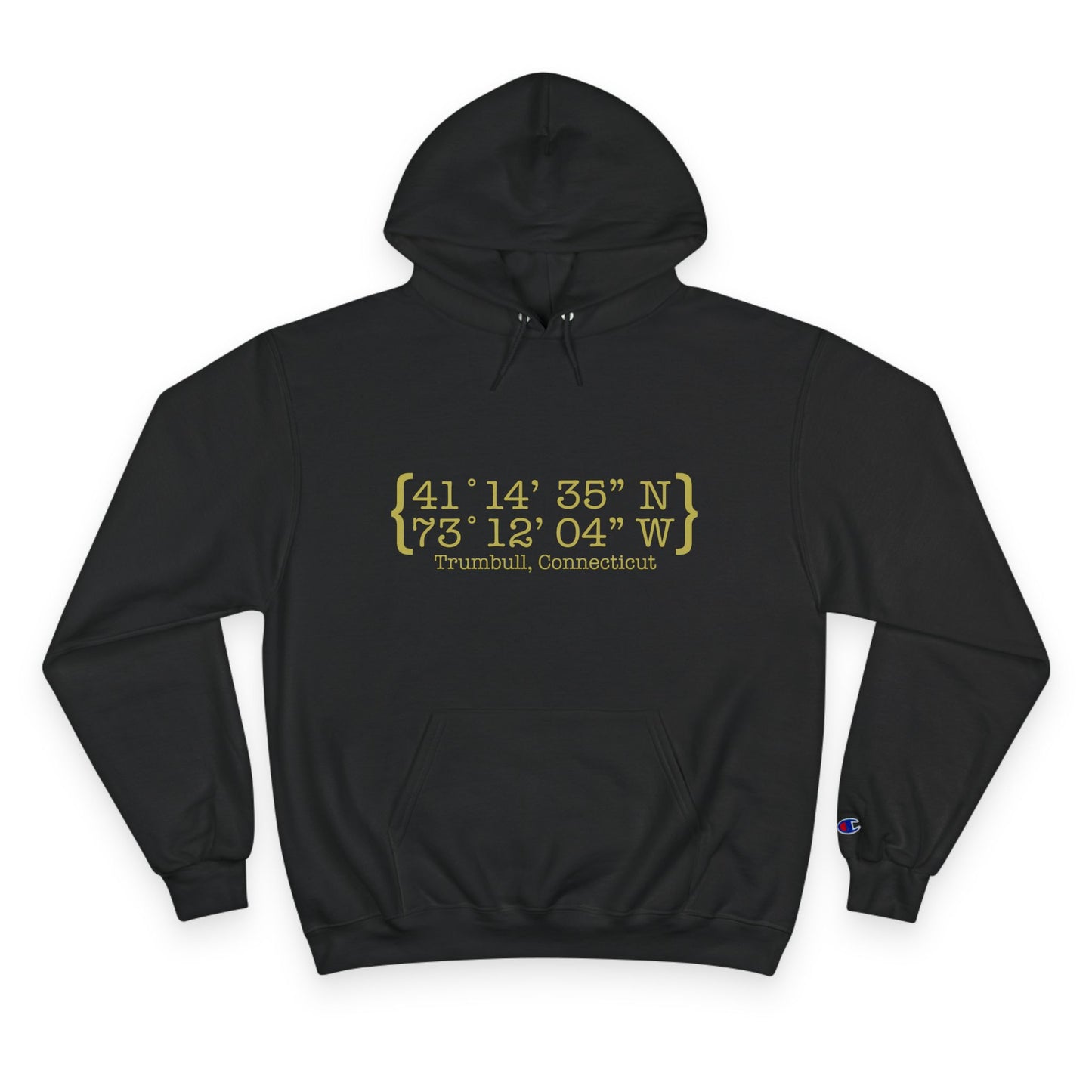 Trumbull Coordinates Champion Hoodie Sweatshirt