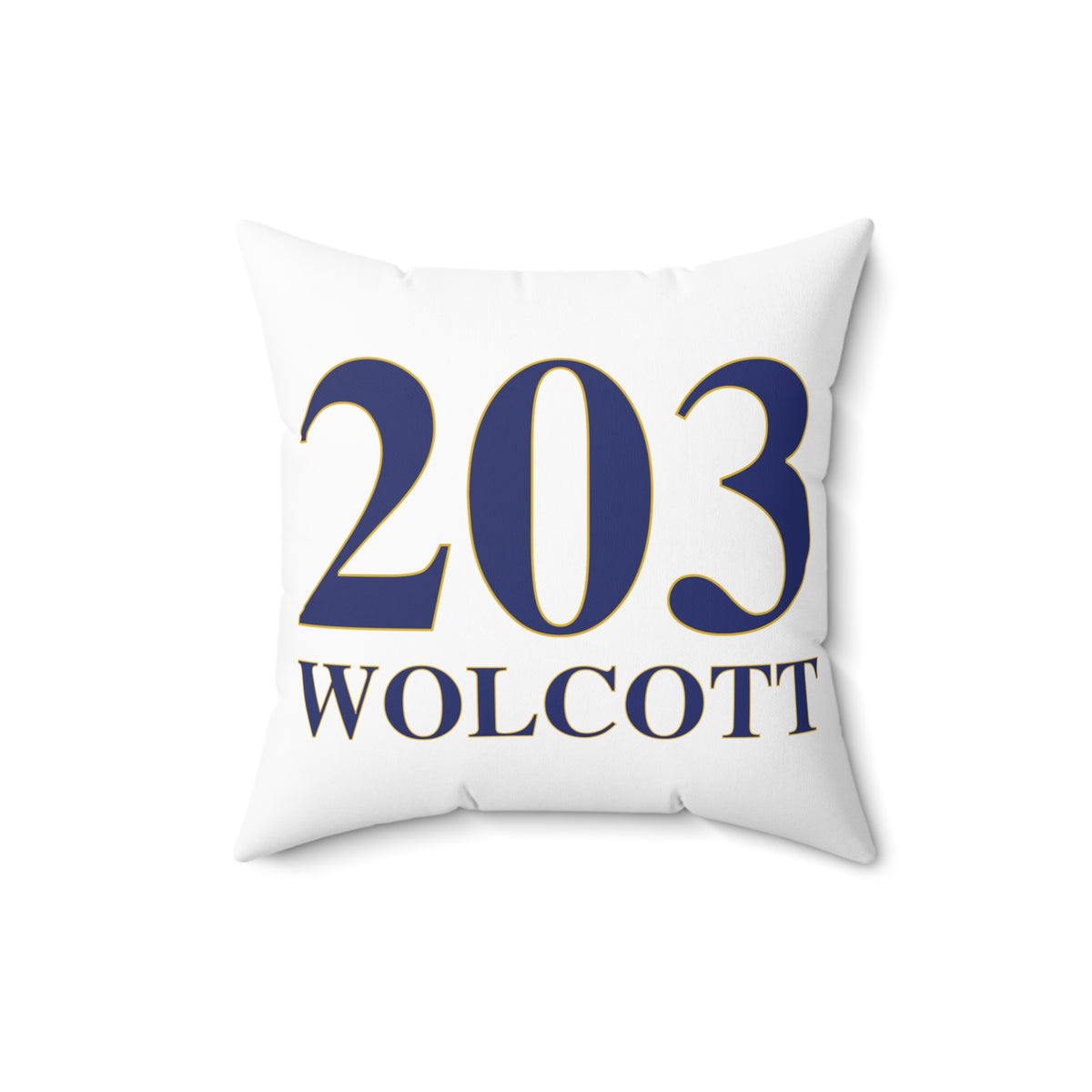 203 Wolcott Polyester Square Pillow