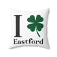 I Clover Eastford  Spun Polyester Square Pillow