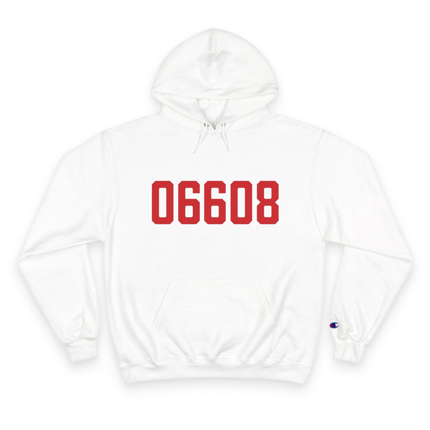 06608 Bridgeport Connecticut Zip Code Champion Hoodie Sweatshirt